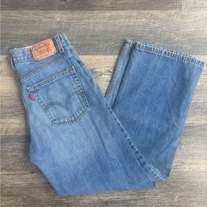 Levi's Men's Blue Jeans 27/27